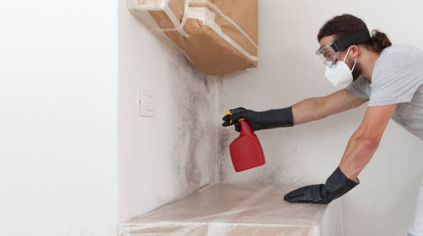 Professional Basement Mold Remediation technician working in Ronks, PA